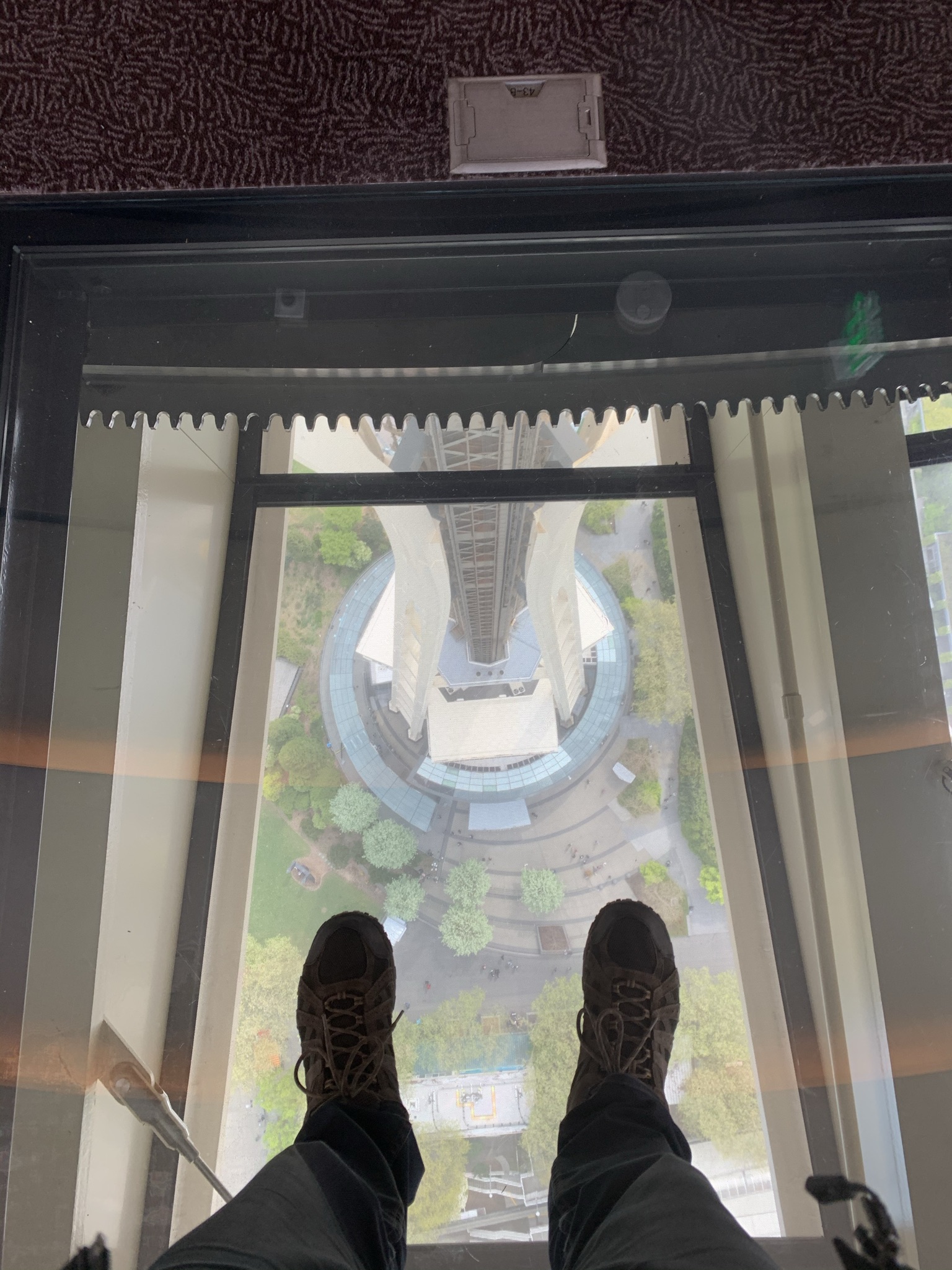 Glass bottom