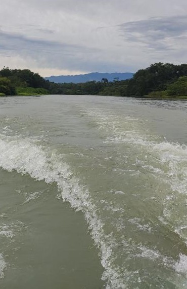 Boat wake