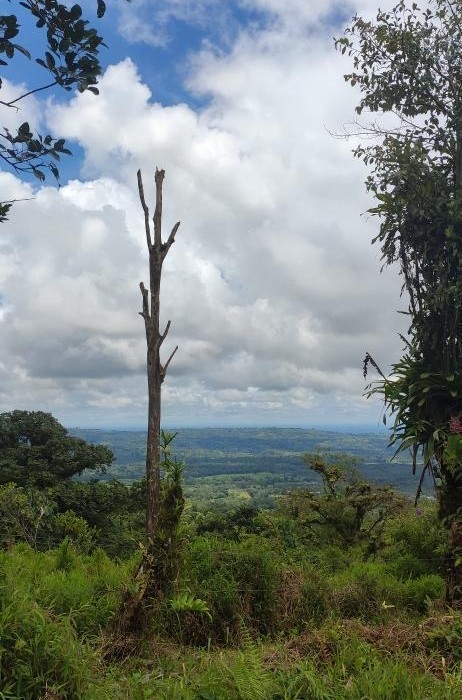 Chato hike 1