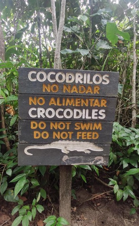 Croc alert