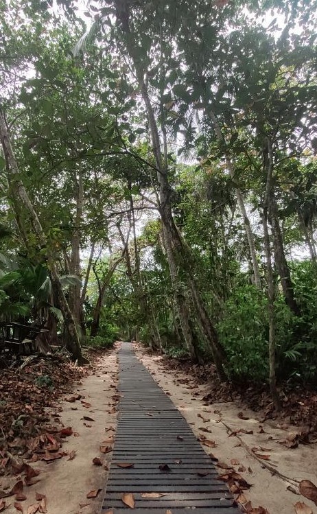 Path