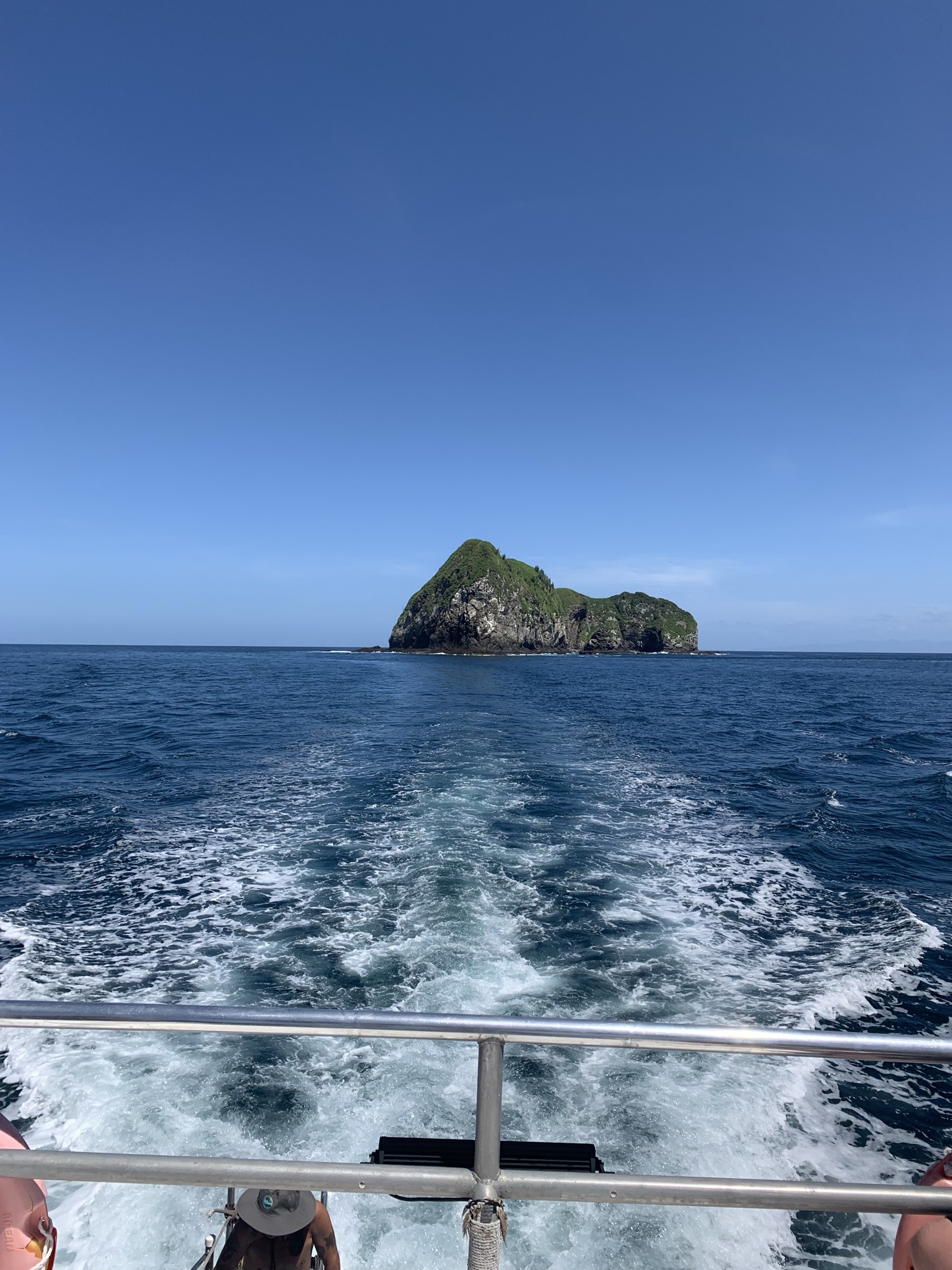 Catalina