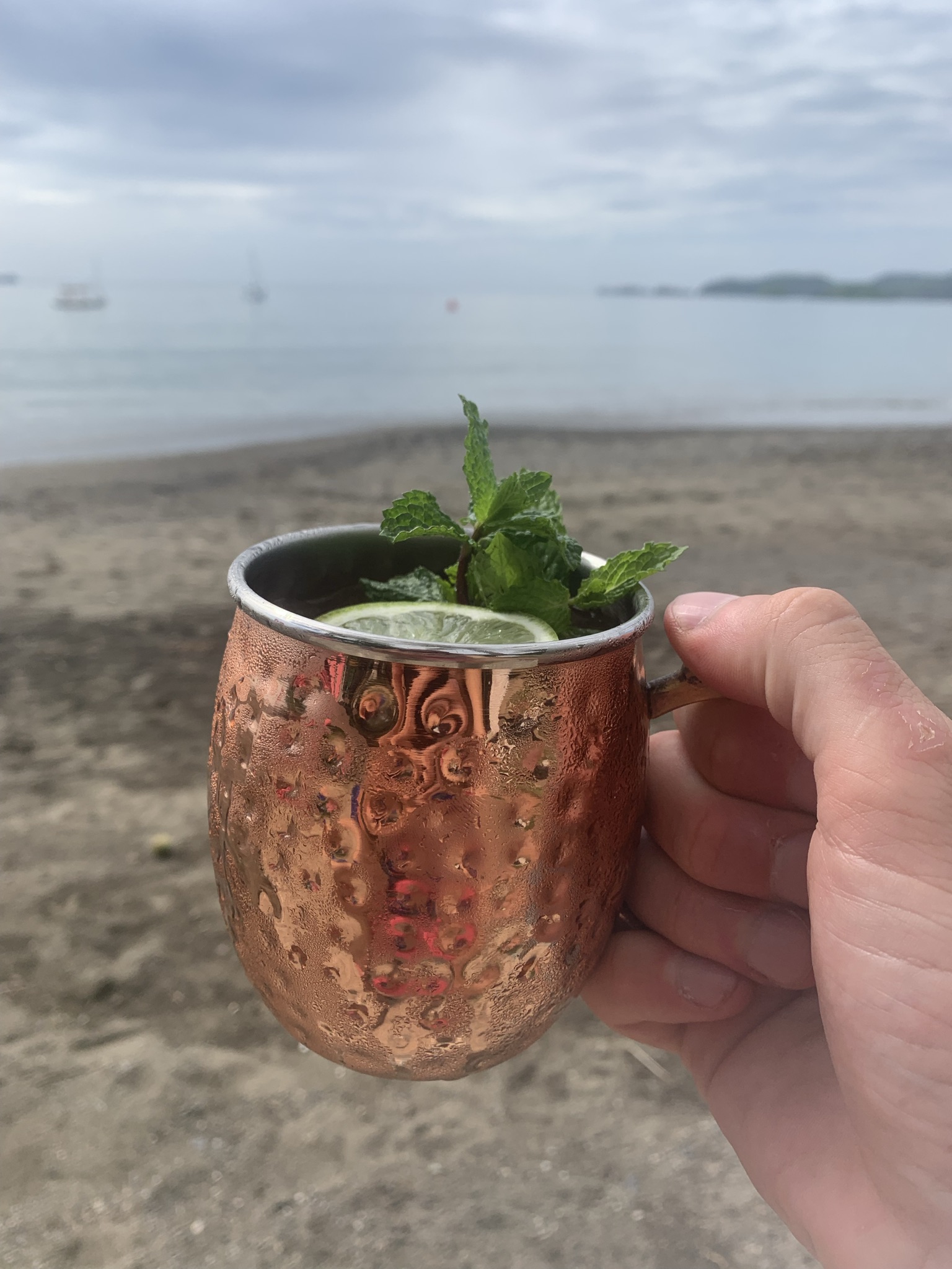 Hemingway Mule