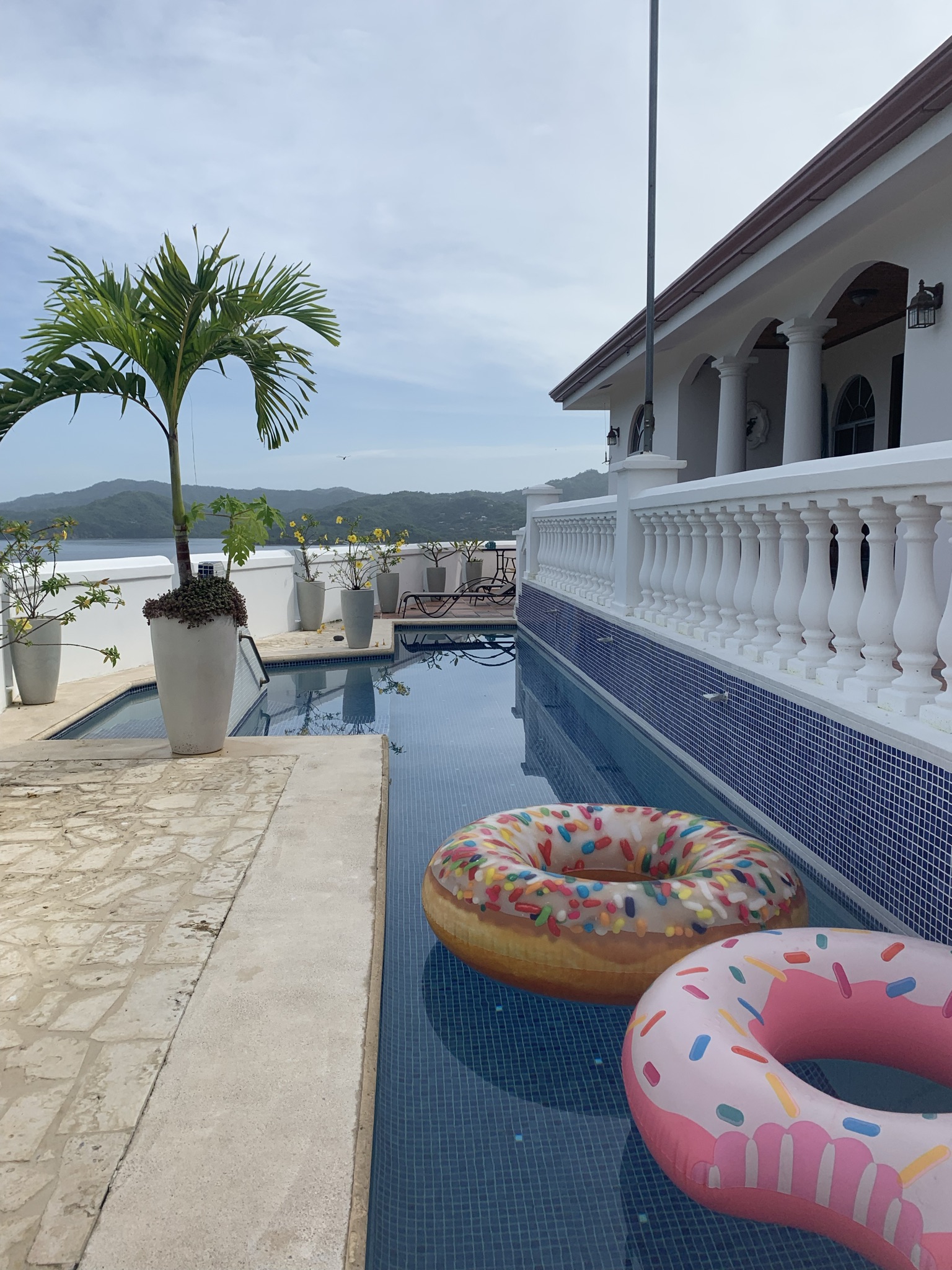 Flamingo pool