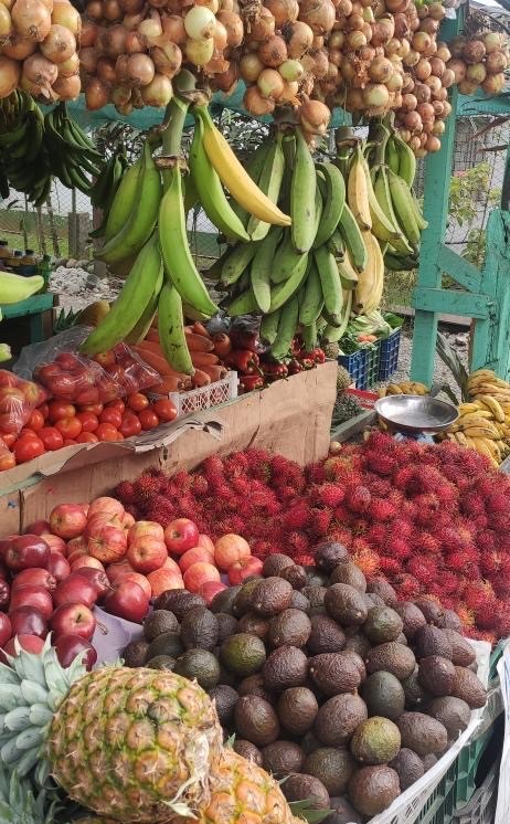 Fruit stand