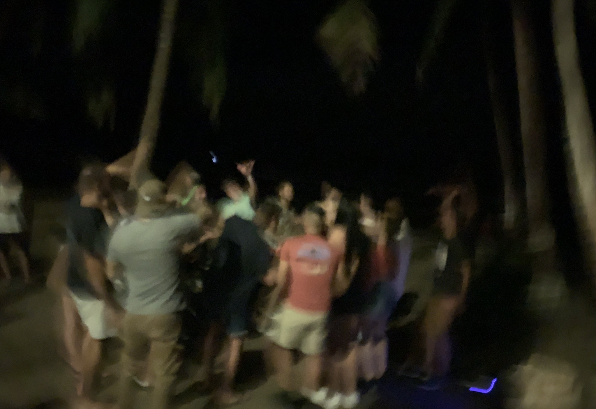 Beach Party