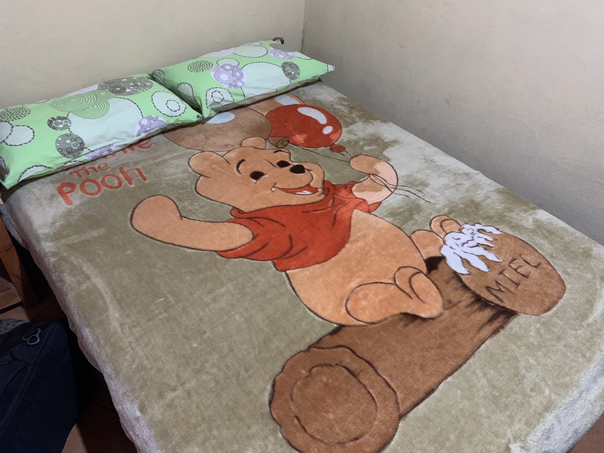 Winnie the Pooh