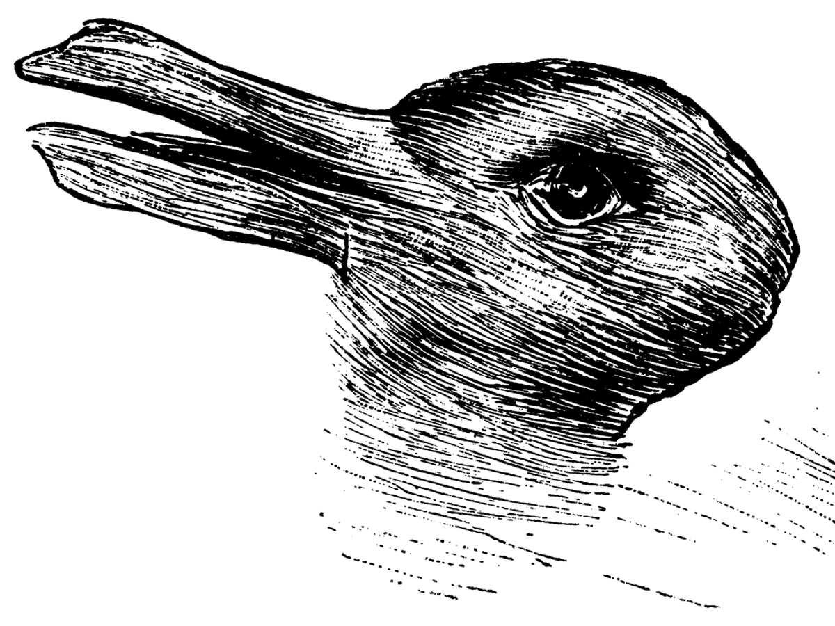 Rabbit or Duck