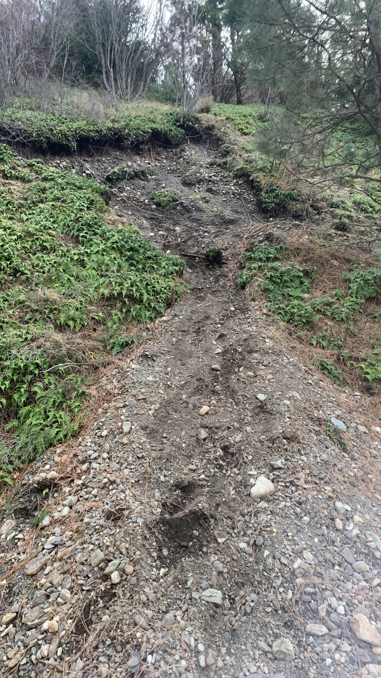 Seton trail