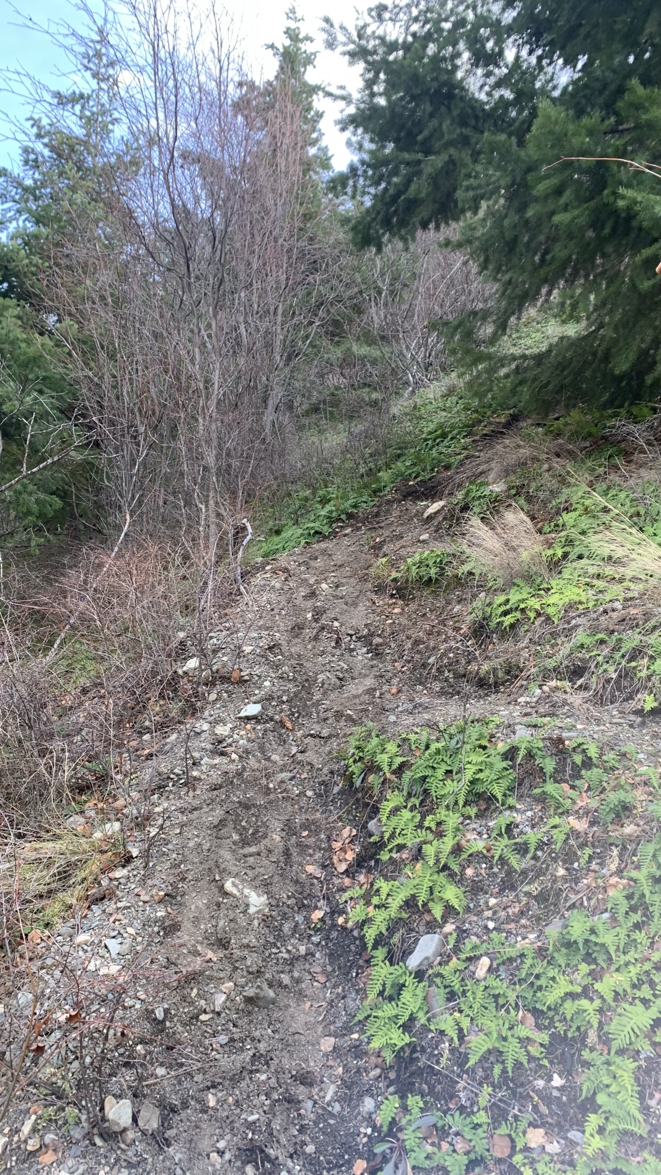 Seton trail
