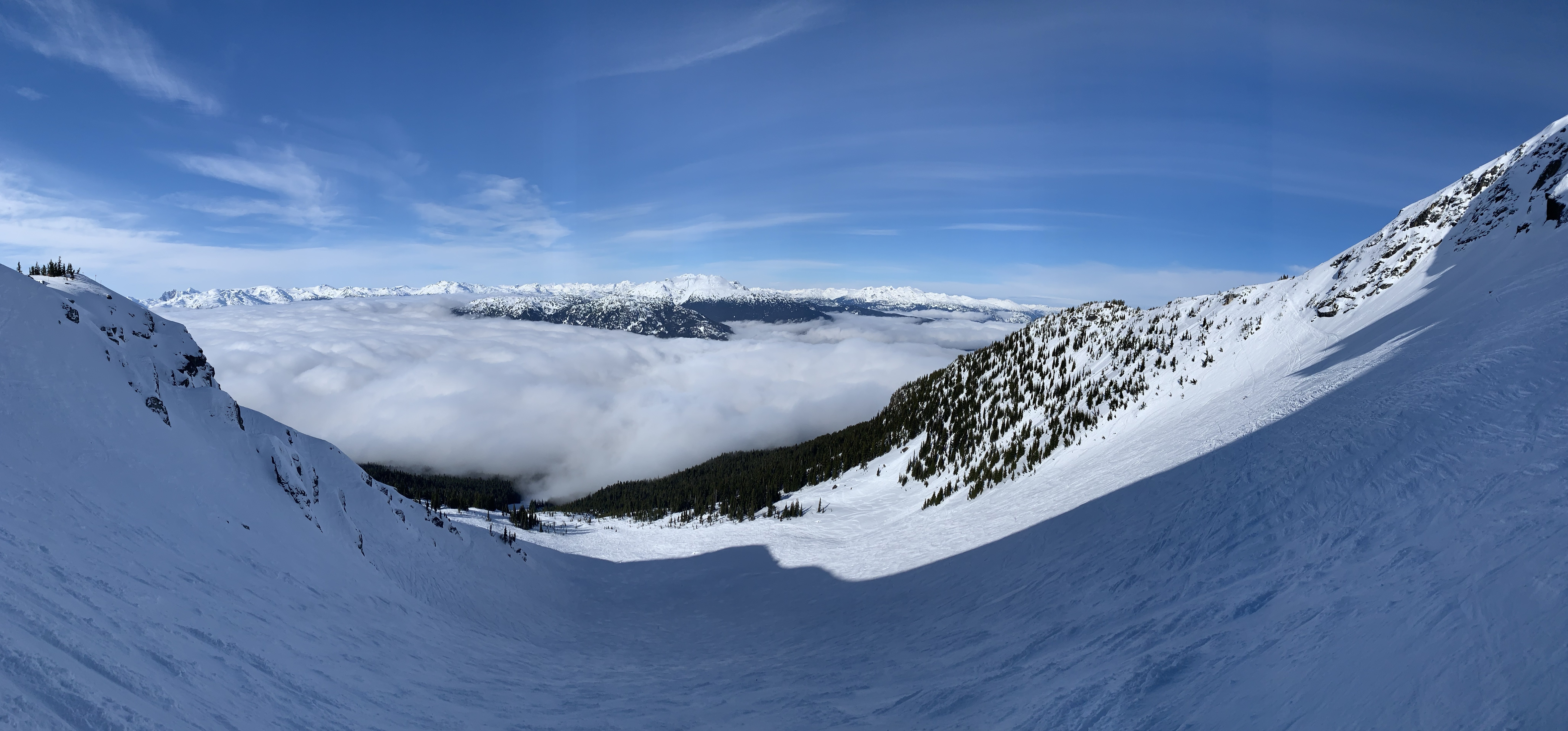 Whistler Bowl