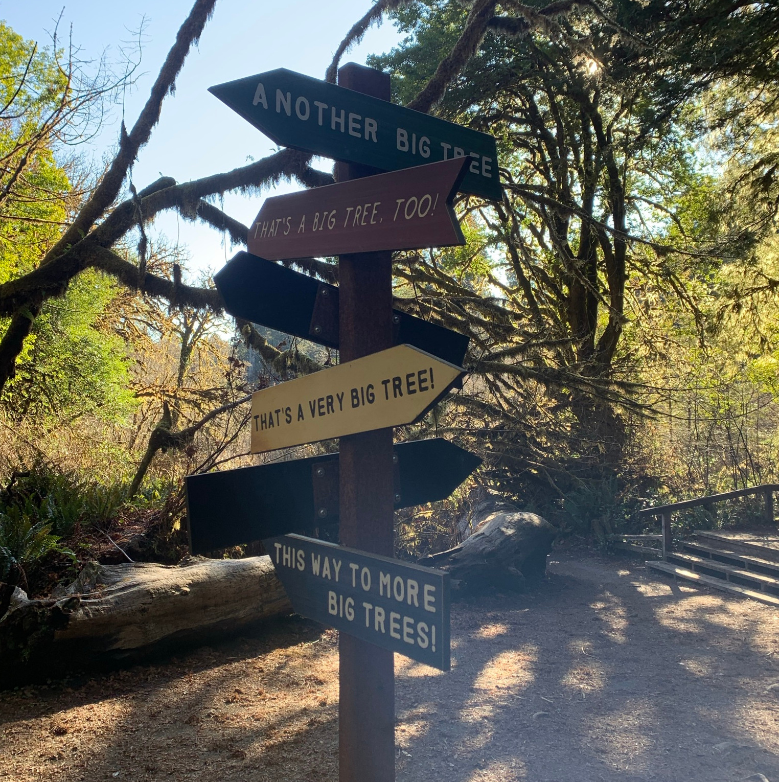 Big tree signs