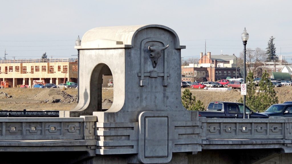 Bridge skull