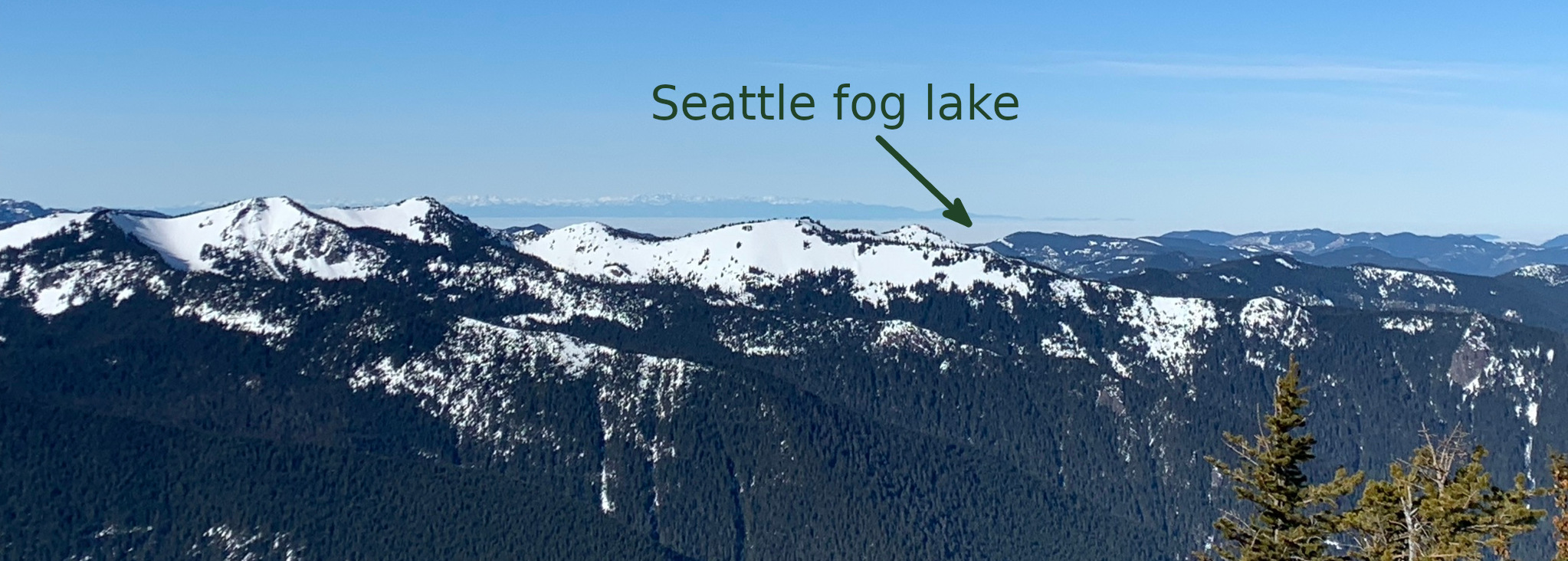 Seattle fog
