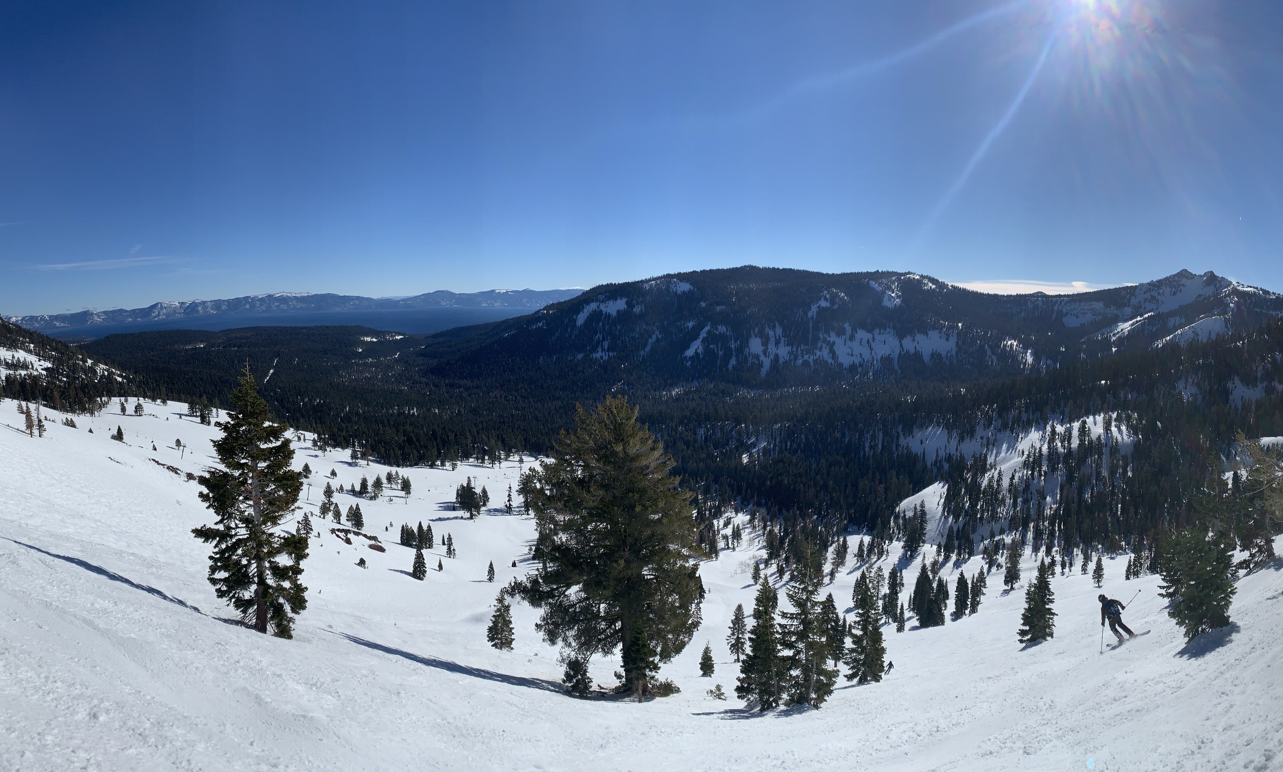 Alpine Meadows
