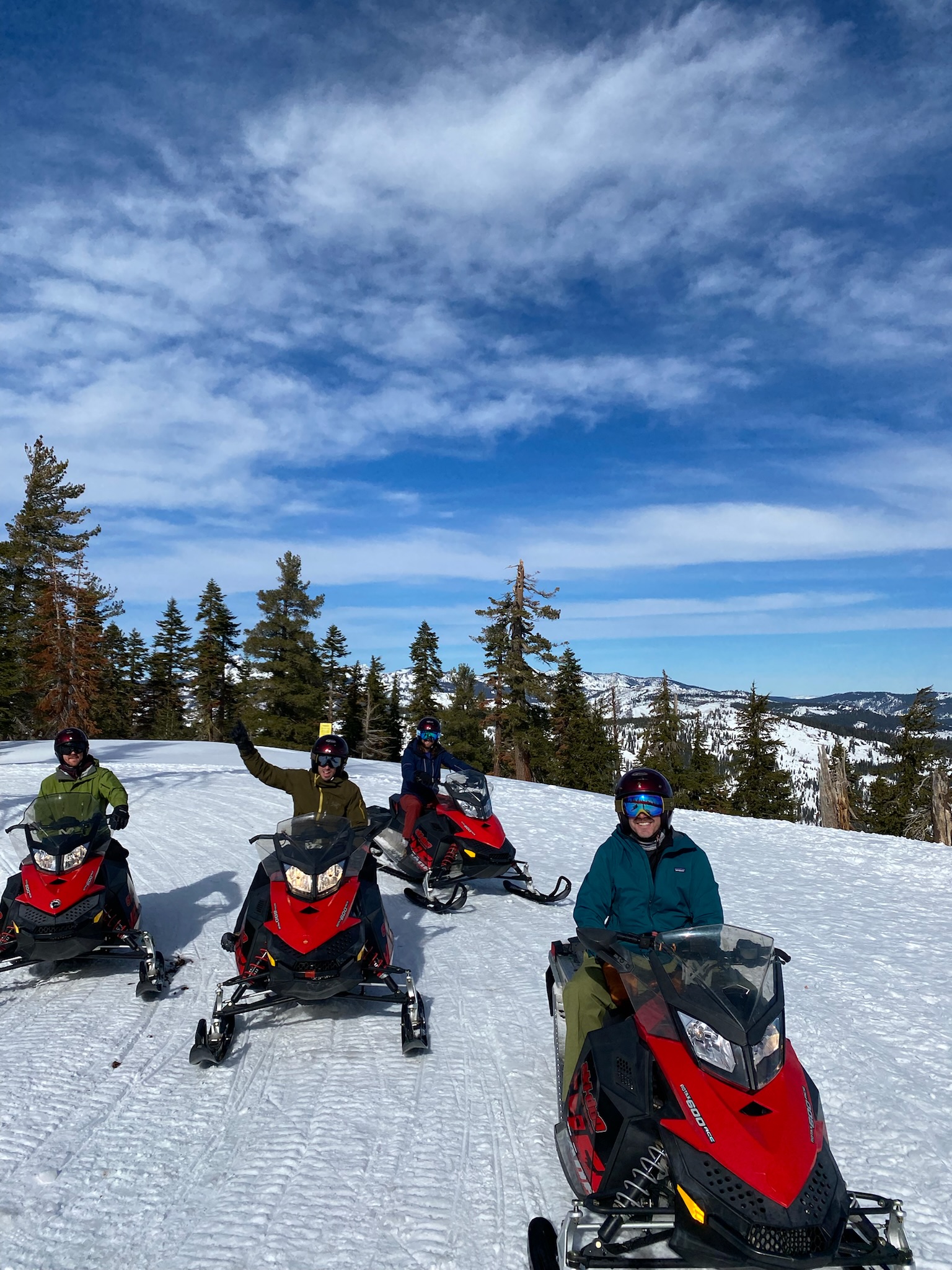 Sleddin