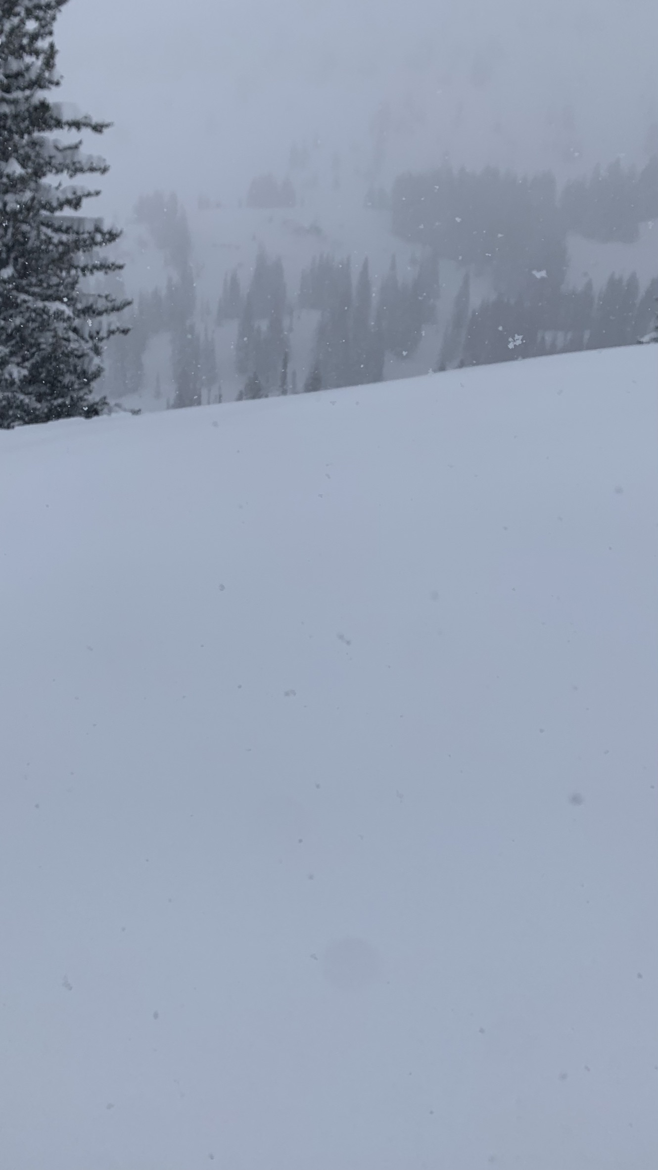 Flying flakes