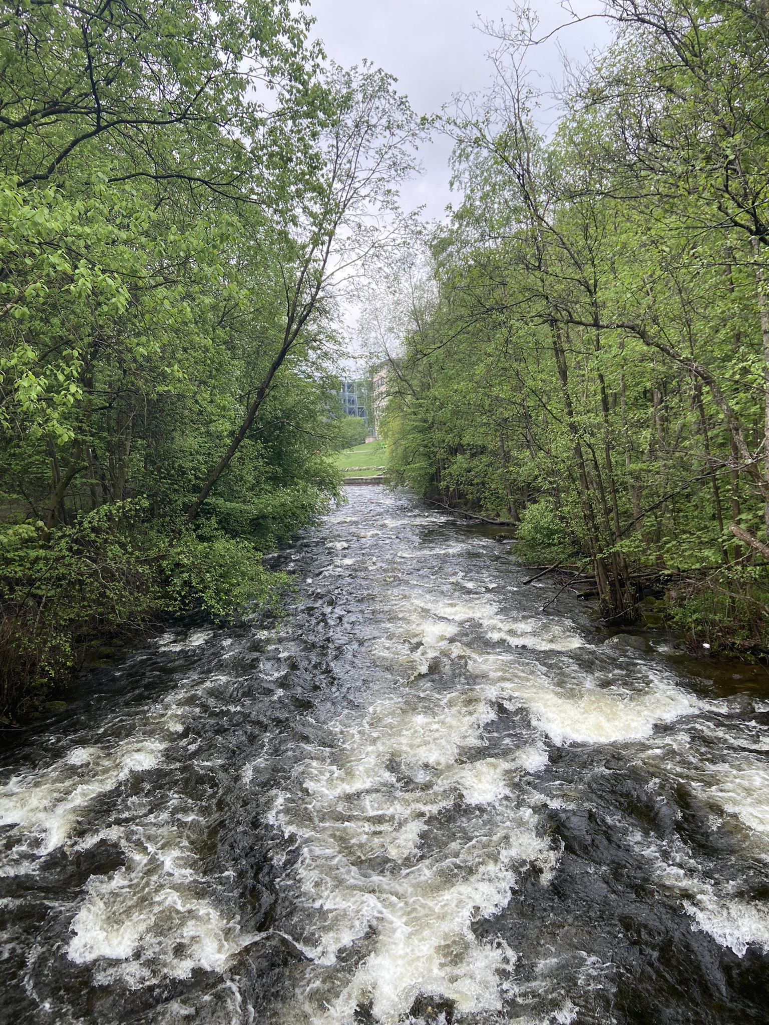 Akerselva