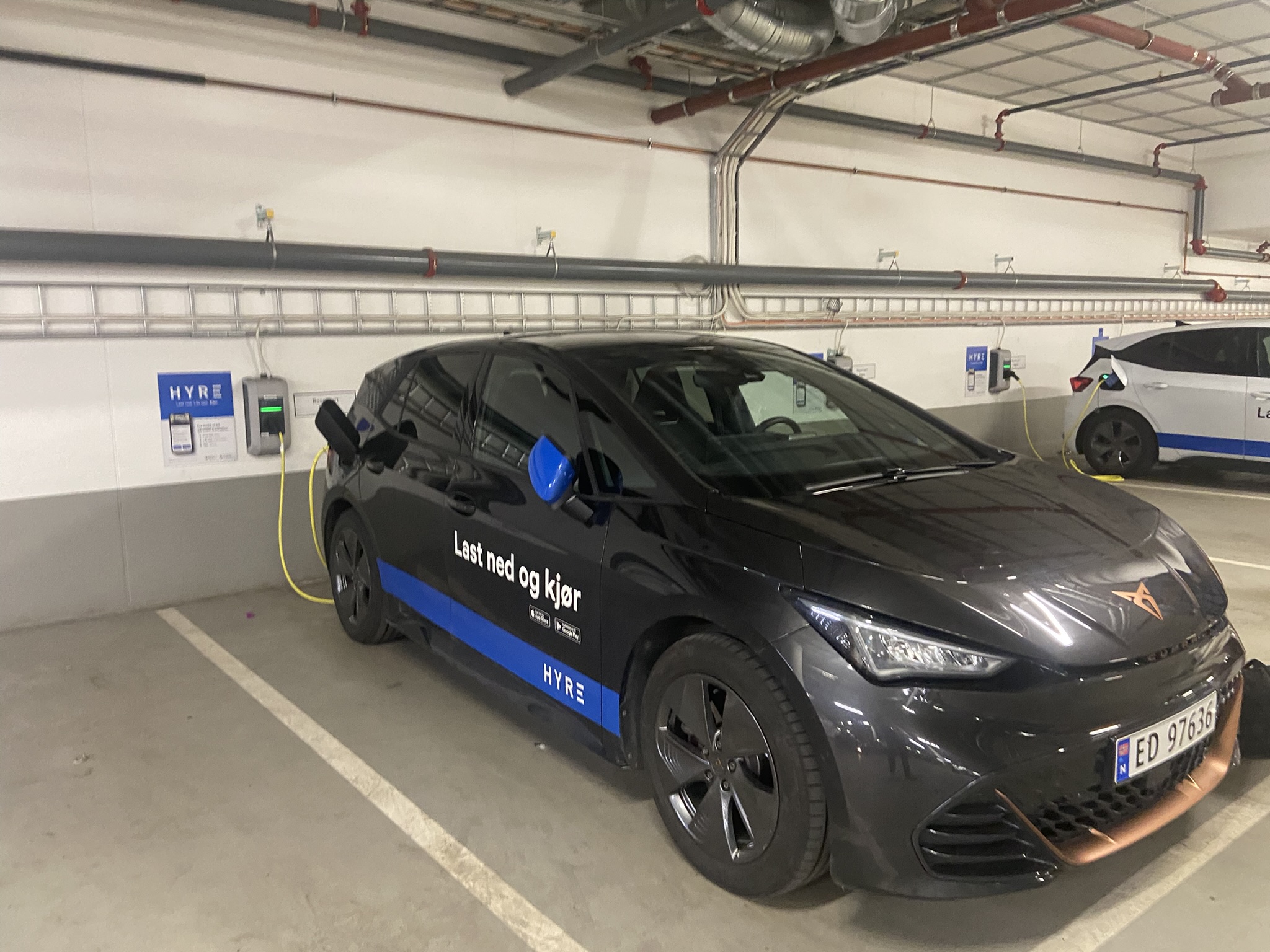 Rental car