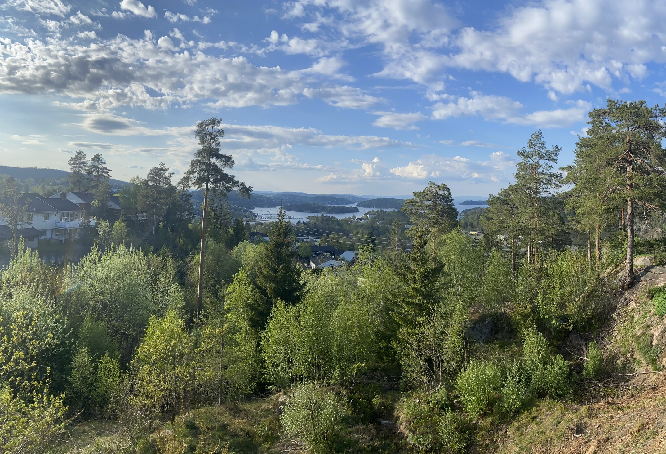 Farfar's view